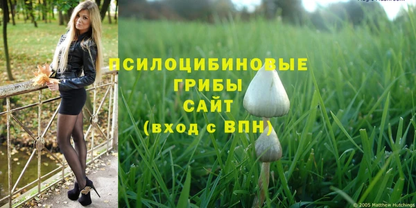 бутират Верхний Тагил
