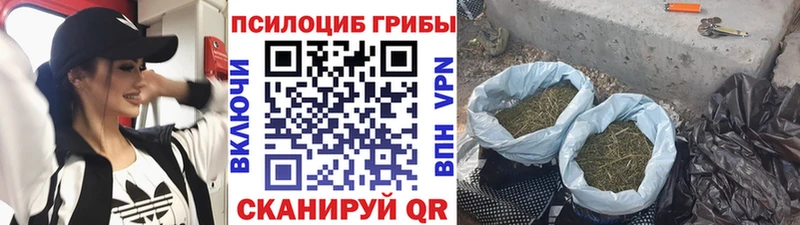 Псилоцибиновые грибы прущие грибы Клинцы