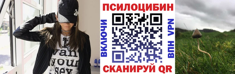 даркнет как зайти Клинцы Псилоцибиновые грибы Cubensis
